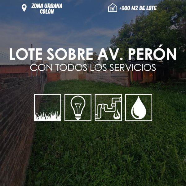 Lote | Colon