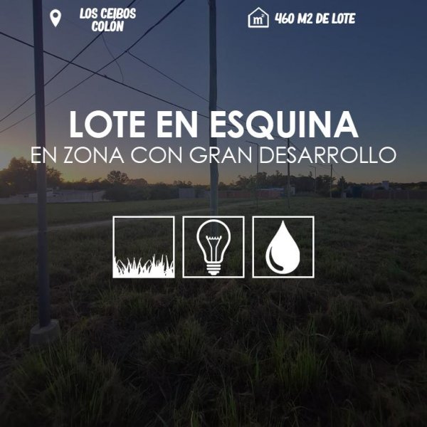 Lote | Colon