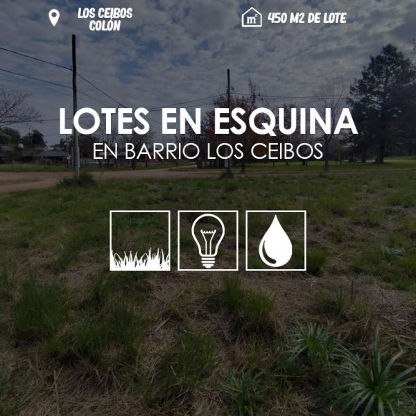 Lote | Colon