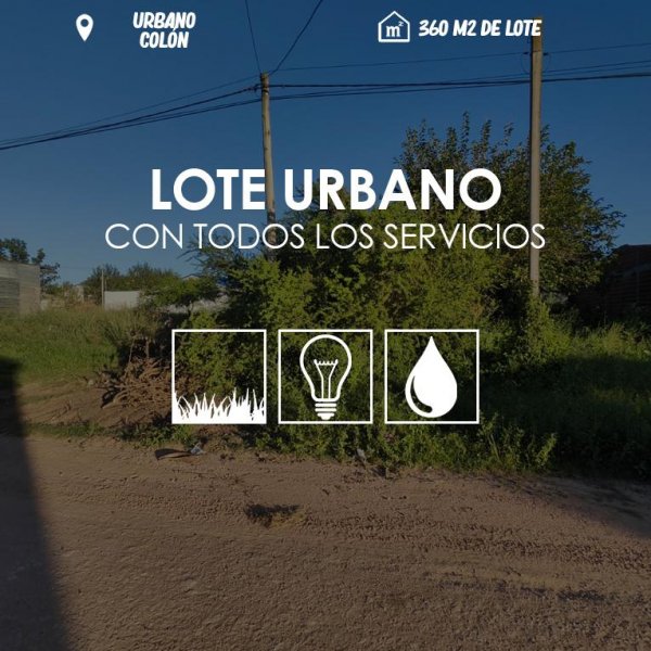 Lote | Colon
