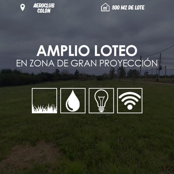 Lote | Colon