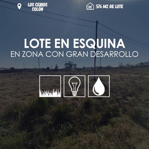 Lote | Colon