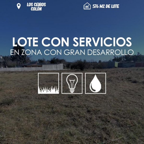 Lote | Colon