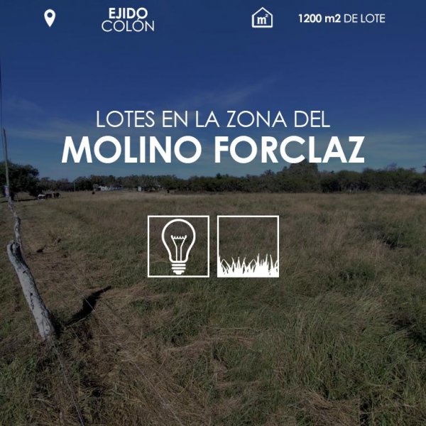 Lote | Colon