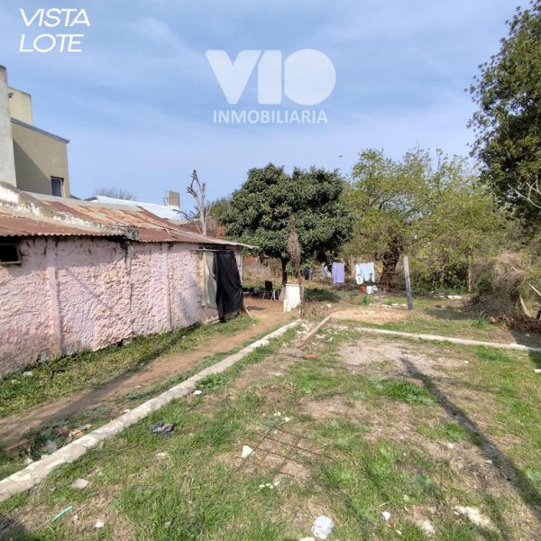 Lote | Colon