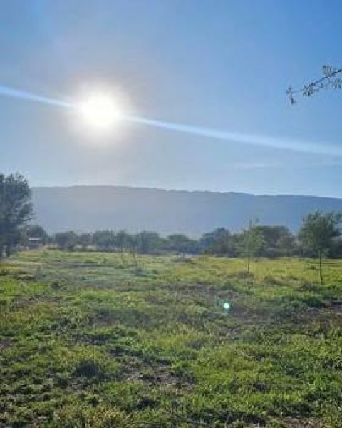 Lote | Carpinteria