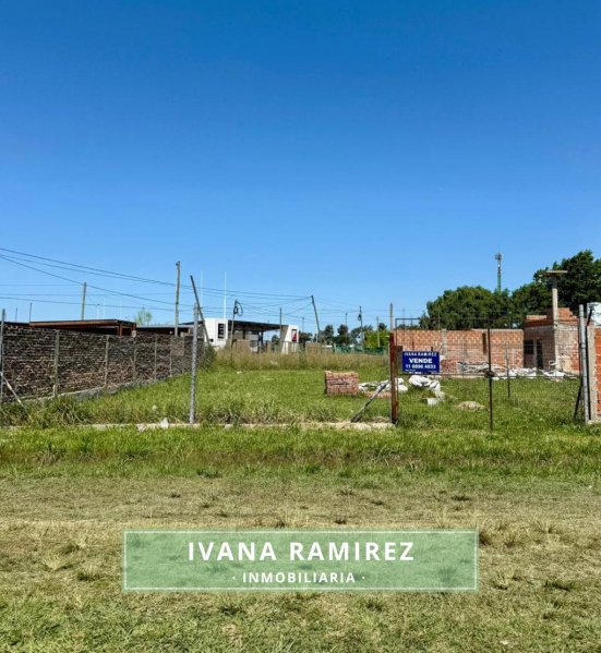 Lote | Francisco Alvarez | Gonzalez Moreno