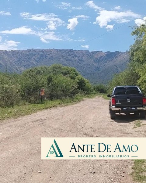 Lote | Carpinteria