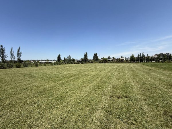 Lote | Comarcas de Luj&aacute;n San Roque | Lujan
