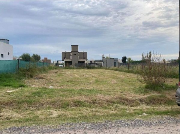 Lote | Funes norte | Funes