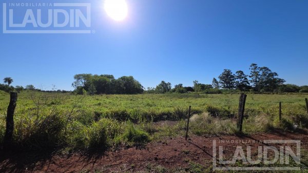 Lote | Posadas