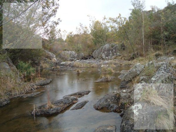 Lote | Santa Monica | Santa Rosa De Calamuchita