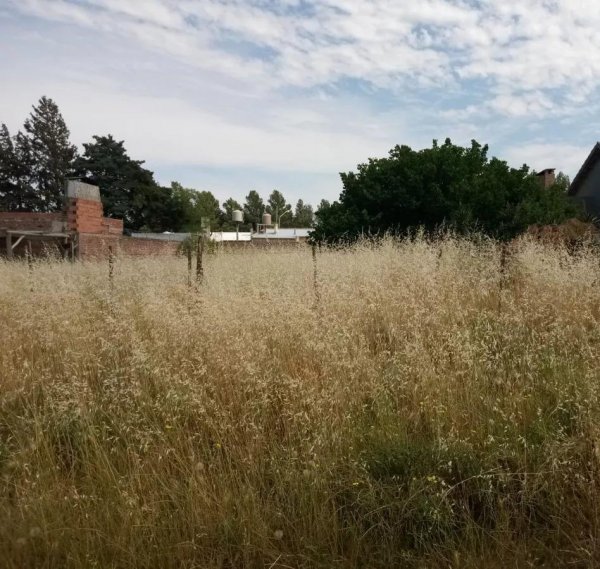 Lote | Villa Belgrano | Bahia Blanca