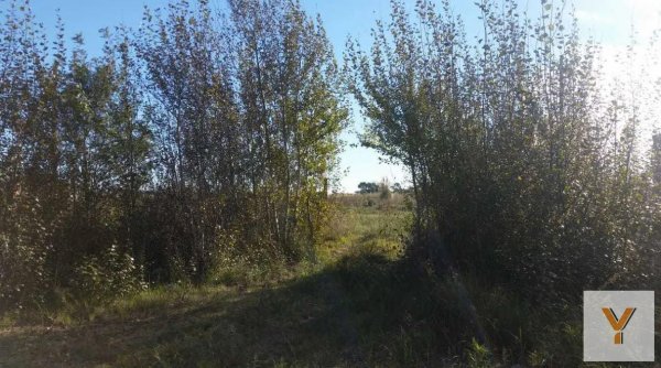 Lote | Mar De Ajo