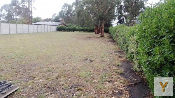 Lote | Chapadmalal