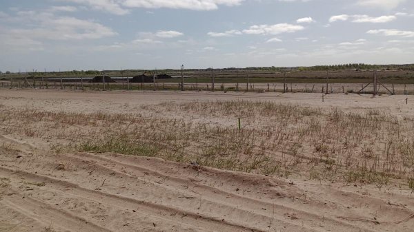 Lote | General Madariaga 