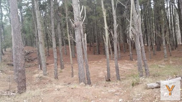 Lote | Pinamar Norte | Pinamar