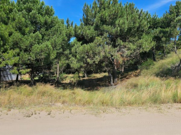 Lote | Barrio Costa Esmeralda | Pinamar