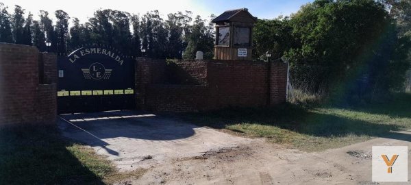 Lote | Camet