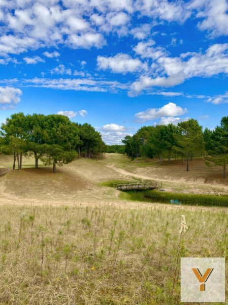 Lote | Pinamar Norte | Pinamar