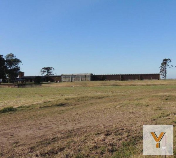 Lote | General Madariaga 