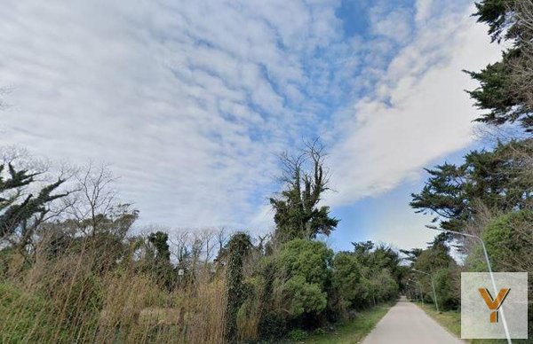 Lote | Montemar | Mar Del Plata