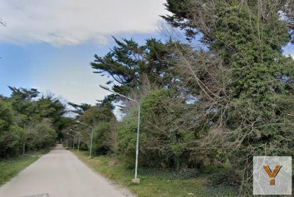 Lote | Montemar | Mar Del Plata