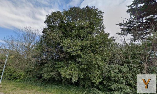 Lote | Montemar | Mar Del Plata