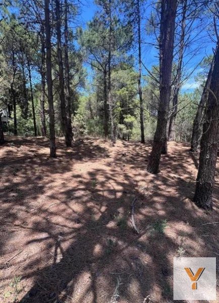 Lote | Monte Hermoso