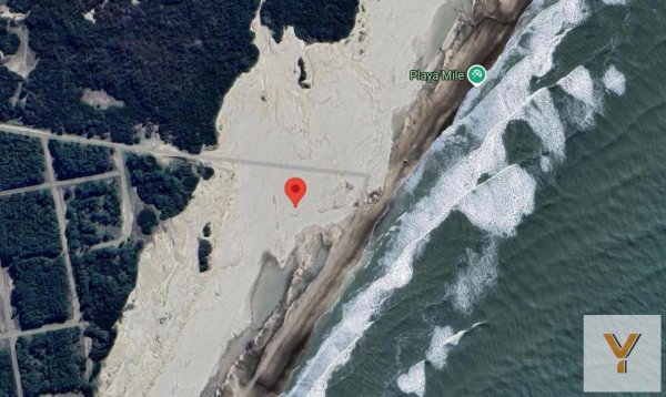 Lote | Norte Playa | Pinamar