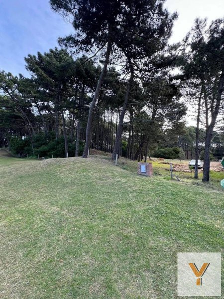 Lote | Bosque | Pinamar