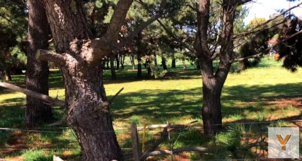 Lote | Chapadmalal