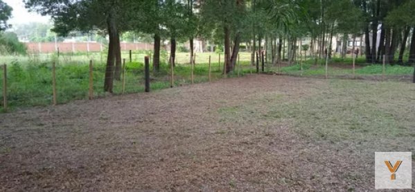 Lote | General Madariaga 