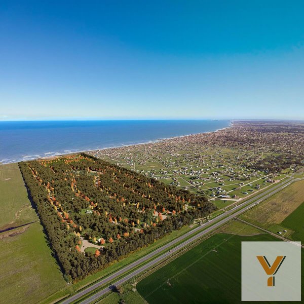 Lote | Camet
