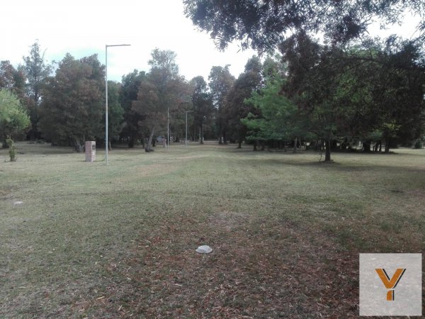 Lote | Juancho | General Madariaga 