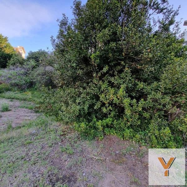 Lote | Centro | Pinamar