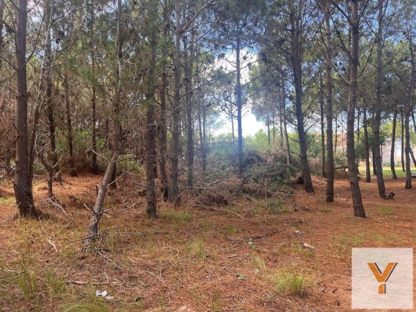 Lote | Barrio Costa Esmeralda | Pinamar