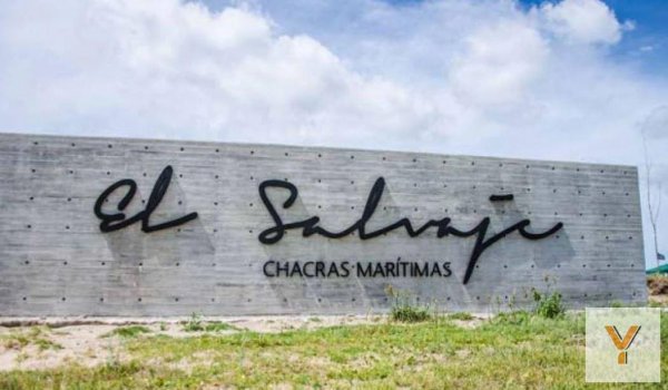 Lote | Villa Gesell