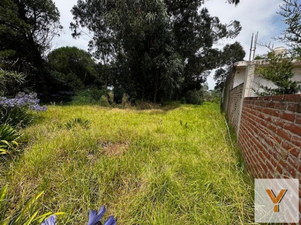 Lote | San Patricio | Mar Del Plata