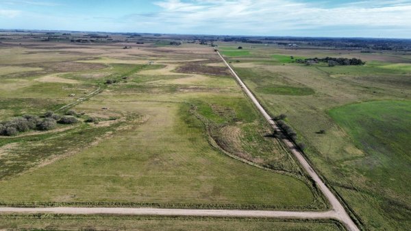 Campo en venta | General Madariaga 