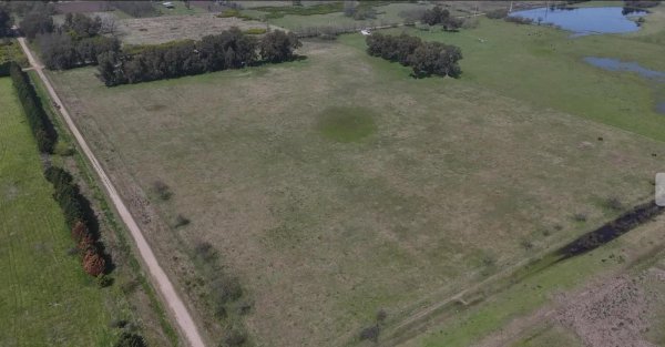Campo en venta | Las Flores