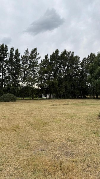 Lote | San Vicente