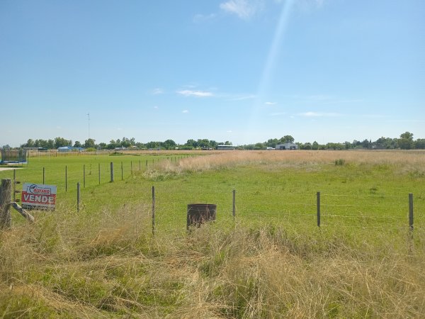 Lote | Colonia Hinojo