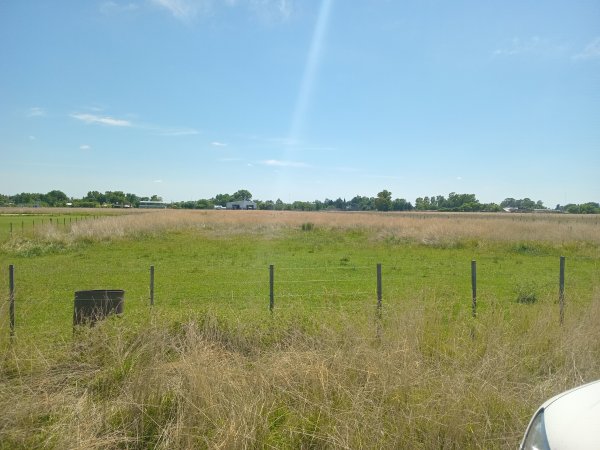 Lote | Colonia Hinojo
