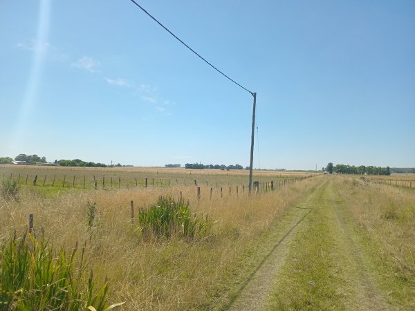 Lote | Colonia Hinojo
