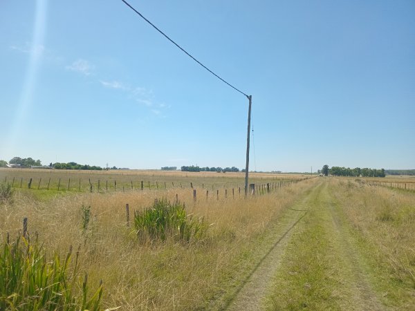 Lote | Colonia Hinojo