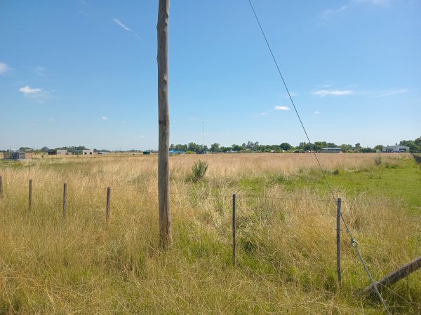 Lote | Colonia Hinojo
