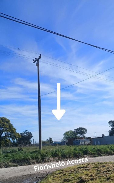 Lote | Los Tilos | Mar Del Plata