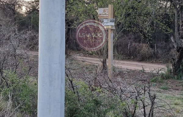 Lote | Cortaderas