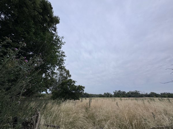 Campo en venta | 3 ambientes | Melchor Romero | La Plata